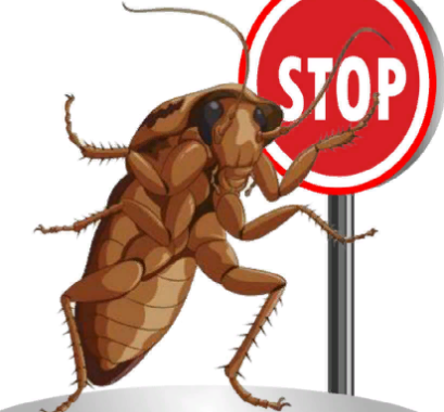 уничтожение тараканов в Челябинске