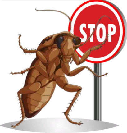 уничтожение тараканов в Челябинске